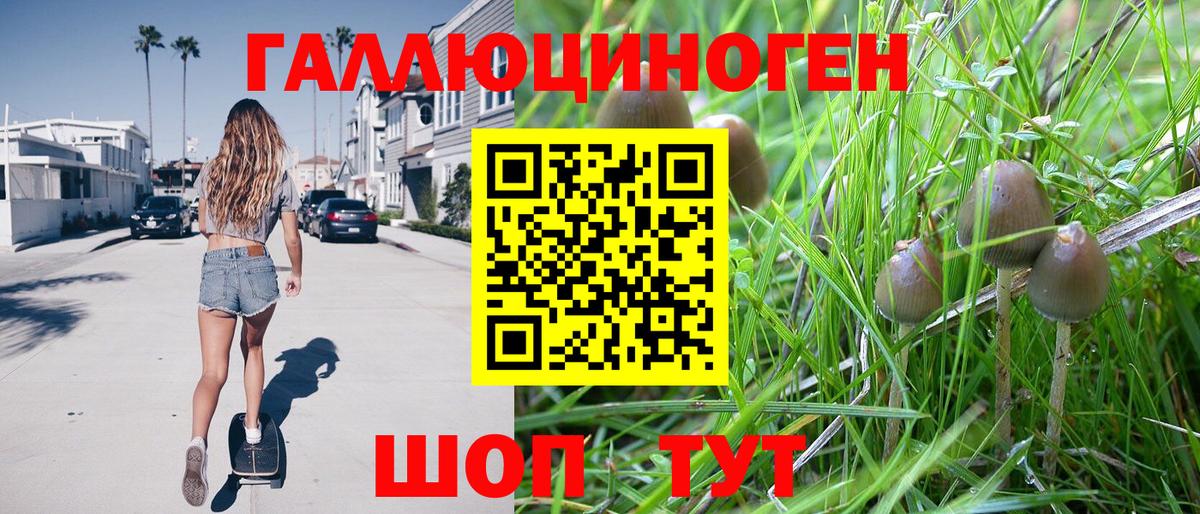Дятьково  Псилоцибиновые грибы MAGIC MUSHROOMS  Вход с VPN 